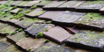 Broadgreen roof repair costs